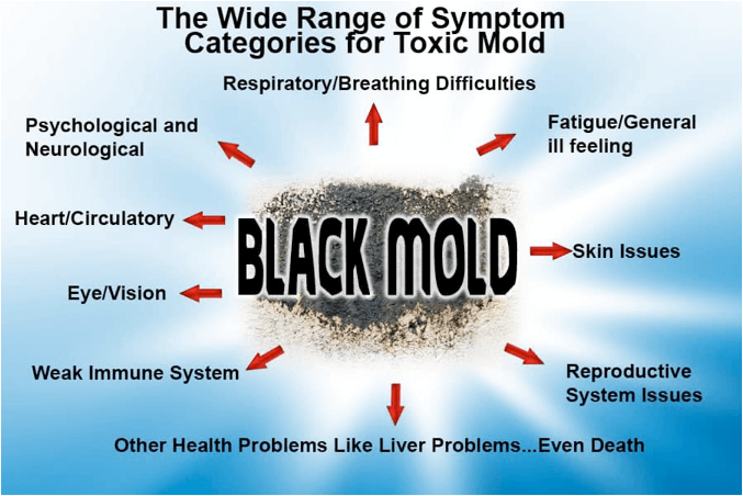 Most Toxic Mold, Black Mold.